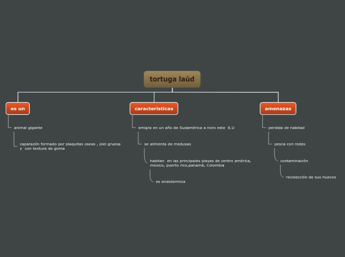 Organigrama arbol