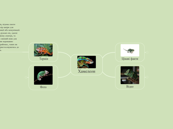 Хамелеон - Мыслительная карта