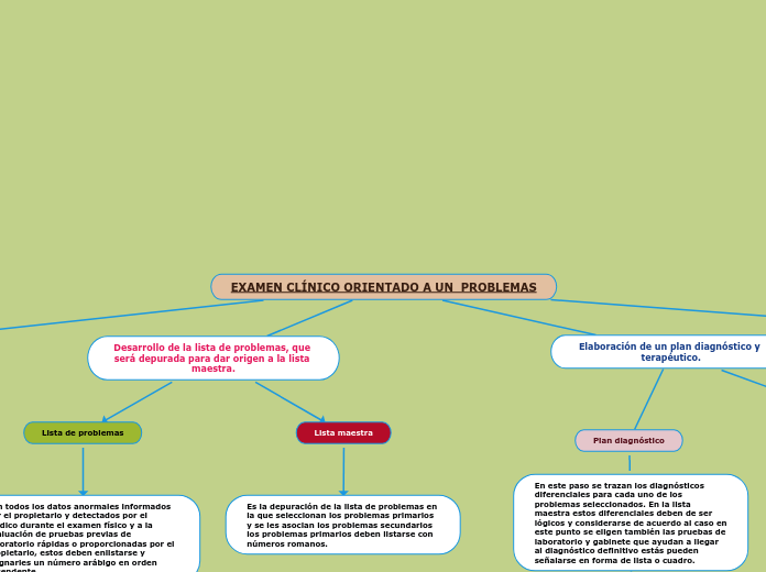 EXAMEN CLÍNICO ORIENTADO A UN  PROBLEMAS