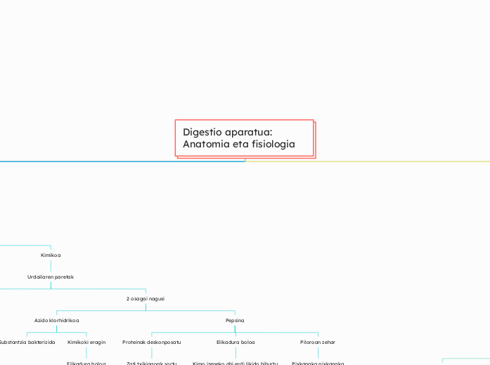 Digestio aparatua: Anatomia eta fisiologia 