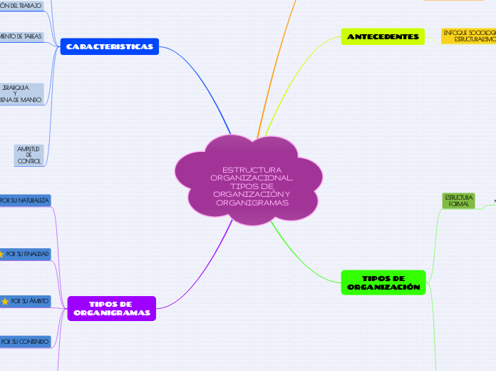 ESTRUCTURA ORGANIZACIONAL, TIPOS DE ORG...- Mapa Mental