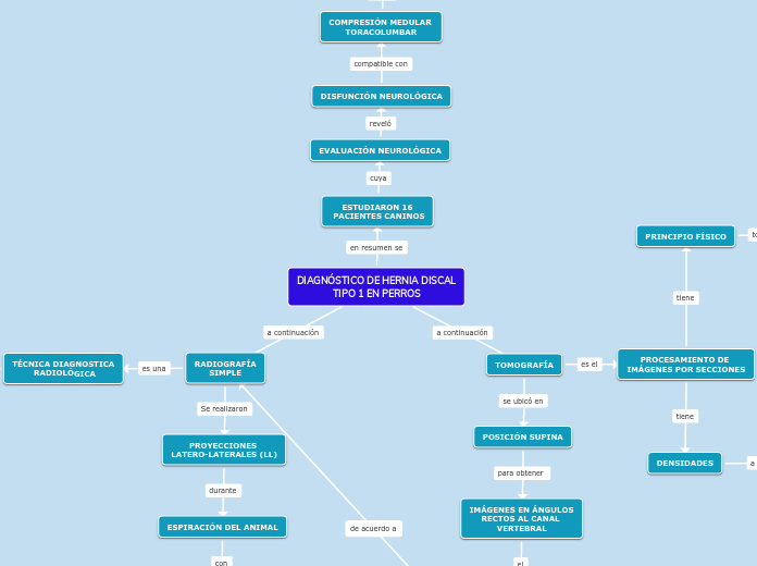 DIAGNÓSTICO DE HERNIA DISCAL
TIPO 1 EN PERROS