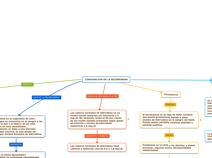 CONJUGACION DE LA BILIRRUBINA - Mapa Mental