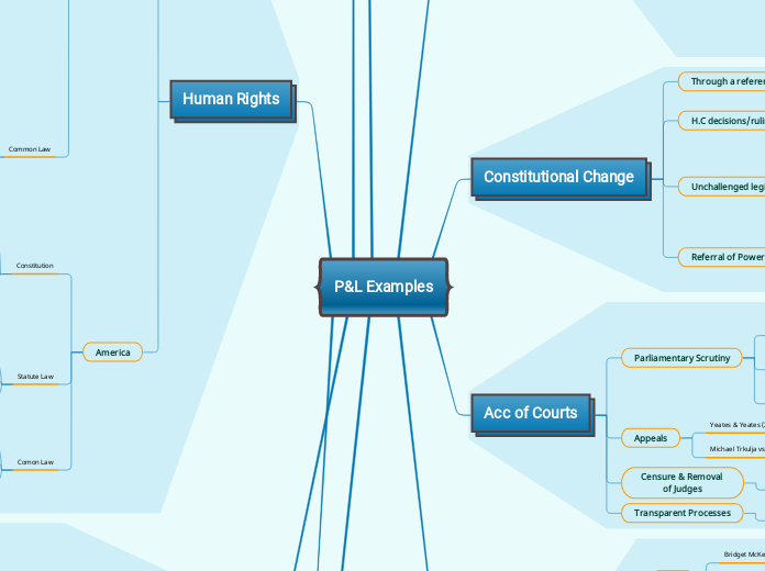 P&L Examples