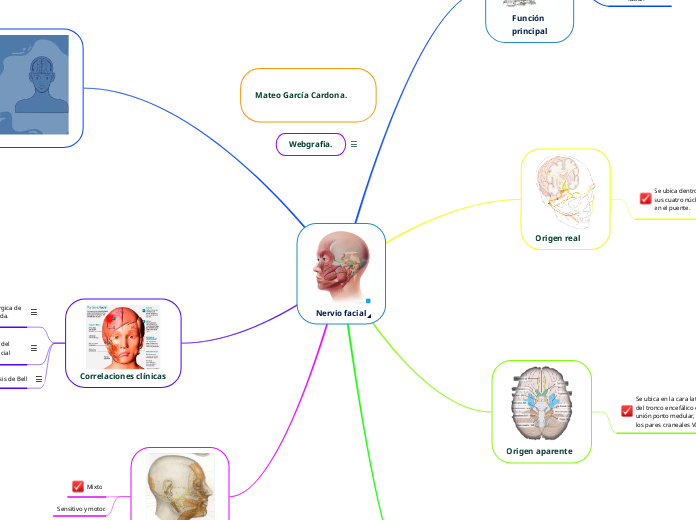 Nervio facial