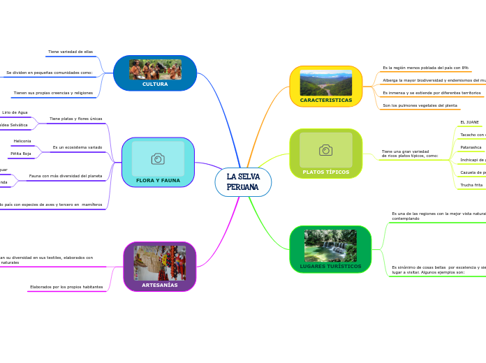 LA SELVA
PERUANA - Mapa Mental