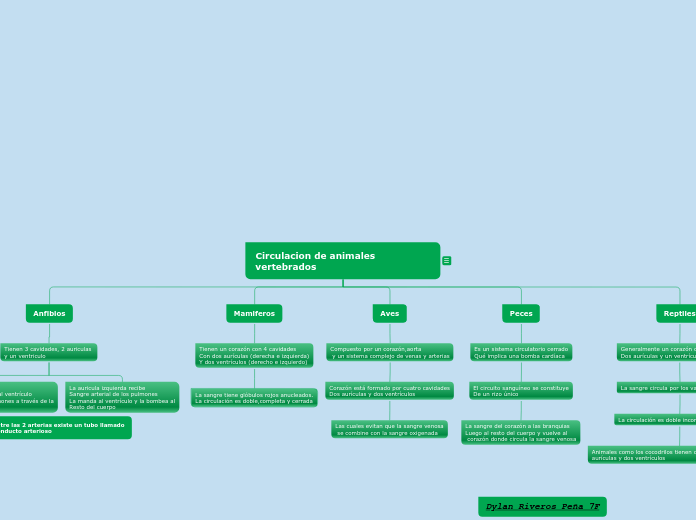 Mapa conceptual sobre circulación en animales vertebrados