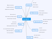 Konstantin - Mind Map