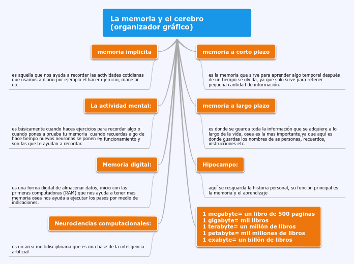 La memoria y el cerebro (organizador gráfico)