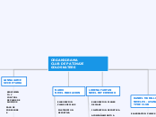 ORGANIGRAMA                          CL...- Mapa Mental