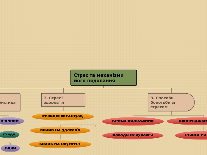 План организации