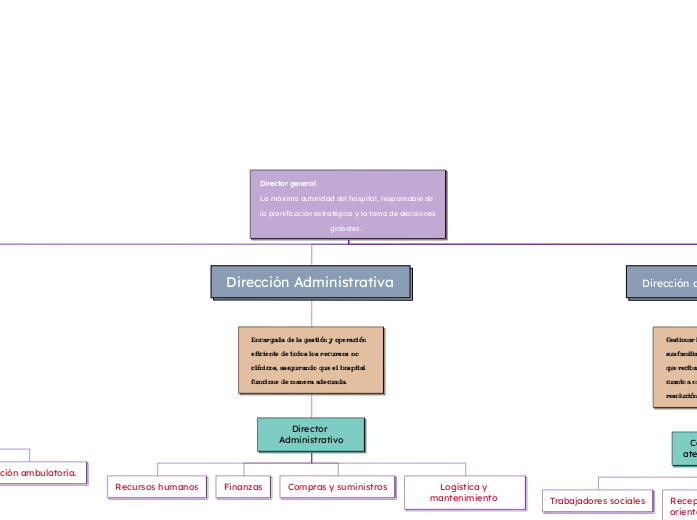 Director general                                                                                                                            La máxima autoridad del hospital, responsable de la planificación estratégica y la toma de decisiones globales.  