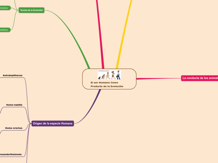 El ser Humano Como Producto de la Evolución