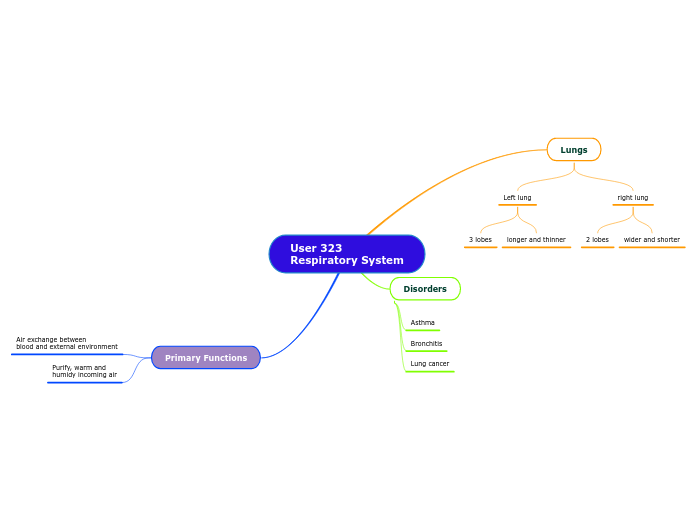 User 323
Respiratory System