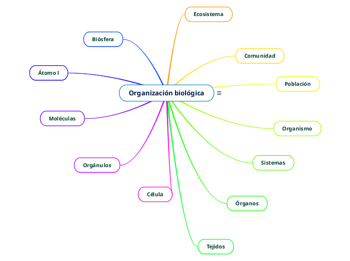 Organización biológica