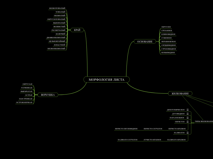 МОРФОЛОГИЯ ЛИСТА - Мыслительная карта