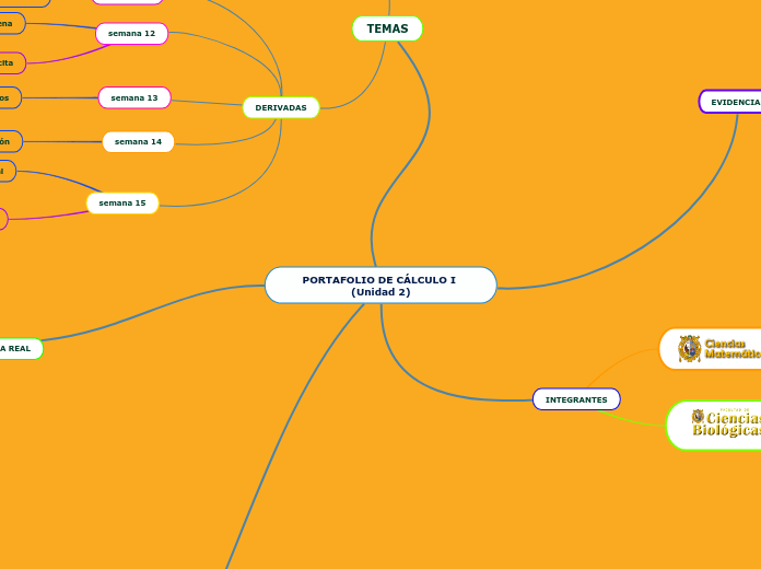 PORTAFOLIO DE CÁLCULO I (Unidad 2)