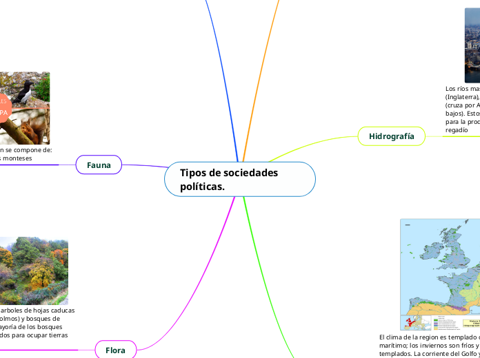 Tipos de sociedades políticas.