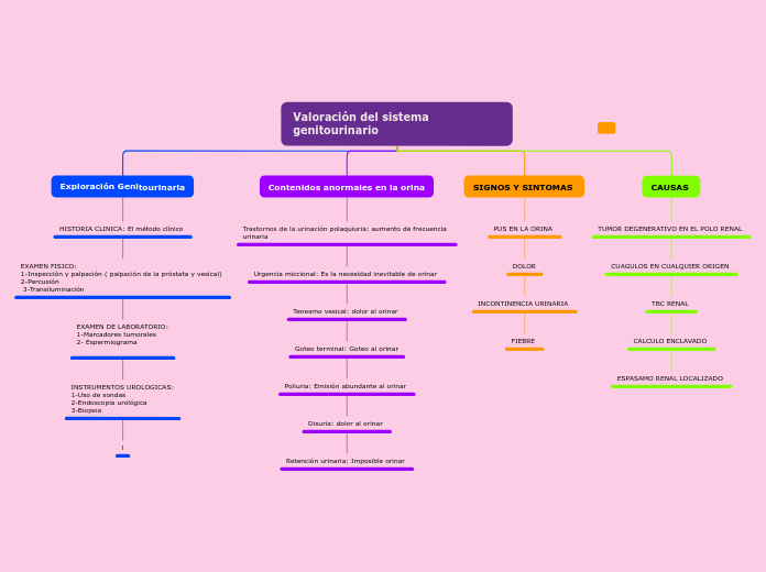 Valoración del sistema genitourinario 