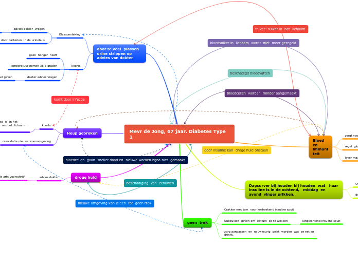 Mevr de Jong, 67 jaar. Diabetes Type 1 - Mindmap