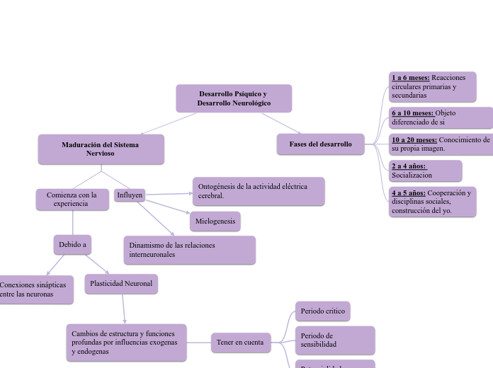 Desarrollo Psíquico y Desarrollo Neurológico