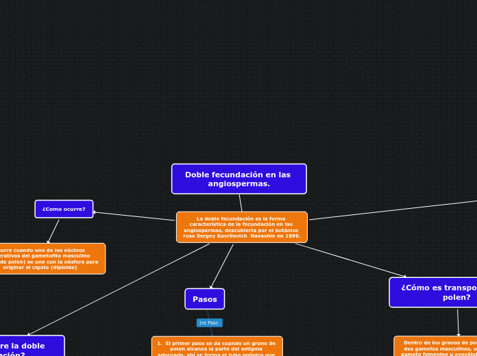 Doble fecundación en las angiospermas. - Mapa Mental