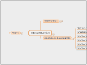 ORGANIZAÇÃO - Mapa Mental