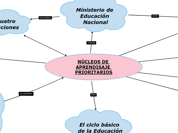 NÚCLEOS DE APRENDISAJE PRIORITARIOS