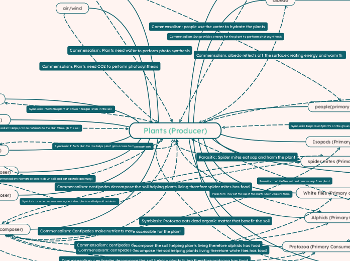 Plants (Producer) - Mind Map