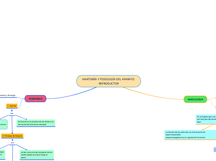 ANATOMÍA Y FISIOLOGÍA DEL APARATO REPRODUCTOR