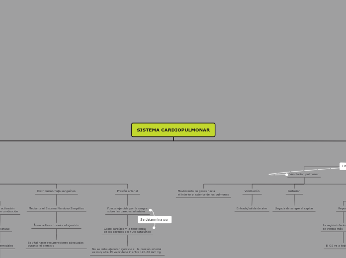 SISTEMA CARDIOPULMONAR - Mapa Mental