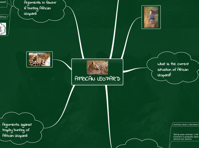 AFRICAN LEOPARD - Mind Map