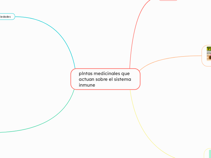 plntas medicinales que actuan sobre el sistema inmune 