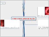 COMO SOMOS ANTES DE NACER  - Mapa Mental