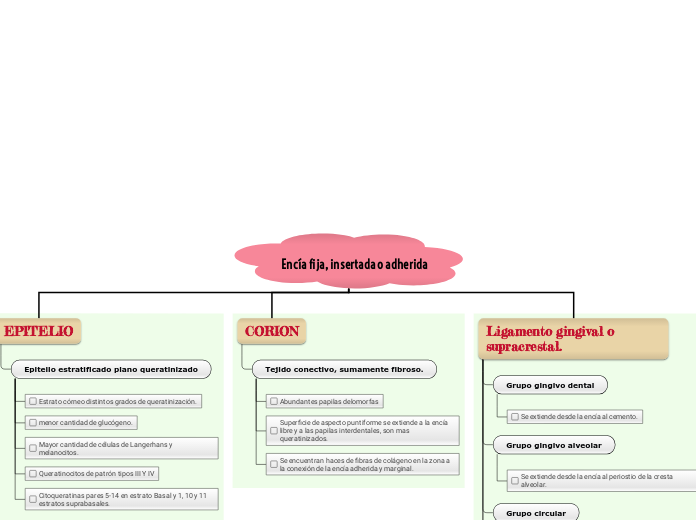 Encía fija, insertada o adherida