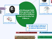 Las areas  cognitivas de  Wernicke  y Broca