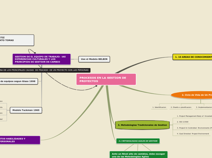 PROCESOS EN LA GESTION DE PROYECTOS - Mapa Mental