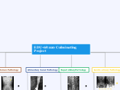 RADS-217 Culuminating Learner Project_v2