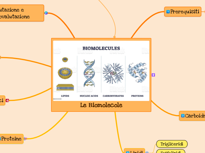 Le Biomolecole