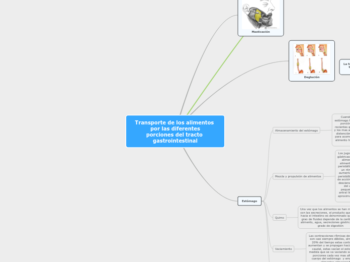 Transporte de los alimentos por las diferentes porciones del tracto gastrointestinal