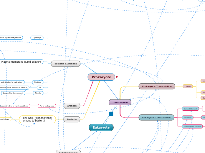 Concept Map (Fall 2020)- Group #7