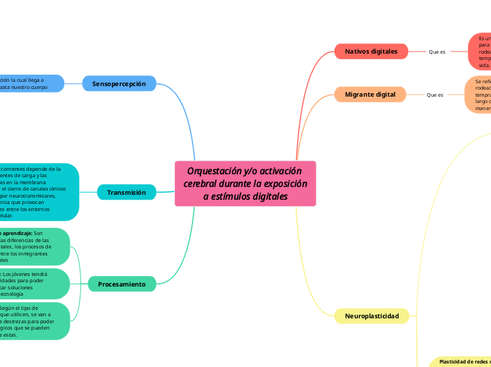 Estructuras anatómicas cerebrales relevantes en la sensopercepción, transmisión y procesamiento de estímulos digitales y mediáticos: