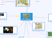 Eesti maakonnad - Mind Map