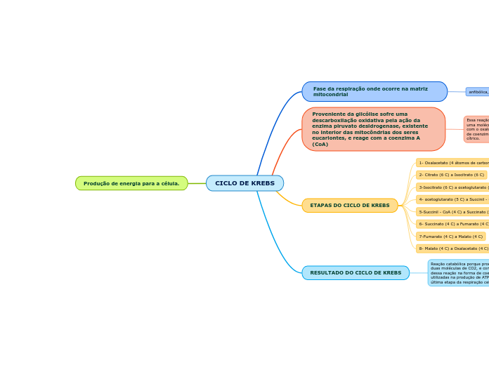 CICLO DE KREBS