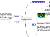 pacific maritime - Mind Map