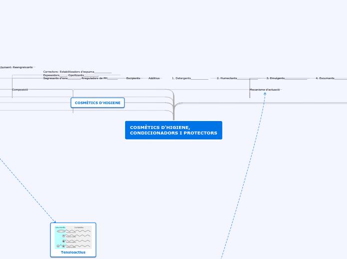 COSMÈTICS D'HIGIENE, CONDICIONADORS I P...- Mapa Mental