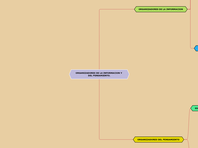 ORGANIZADORES DE LA INFORMACION Y DEL PENSAMIENTO.