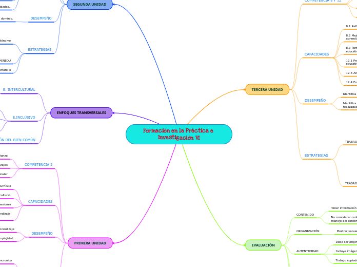 Formación en la Práctica e Investigación VI