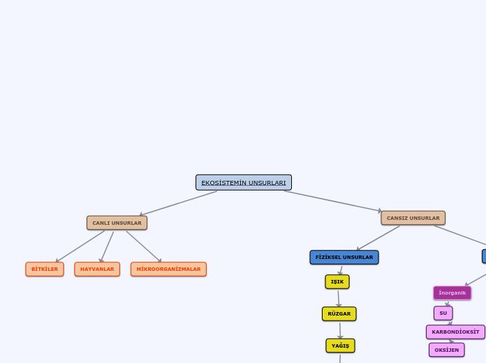 EKOSİSTEMİN UNSURLARI