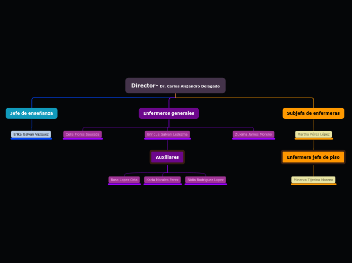 Director- Dr. Carlos Alejandro Delagado - Mapa Mental